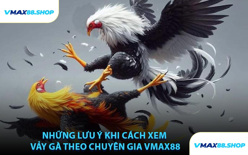 Những Lưu Ý Khi Cách Xem Vảy Gà Theo Chuyên Gia VMAX88