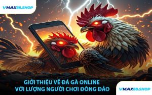 Giới Thiệu Về Đá Gà Online Với Lượng Người Chơi Đông Đảo