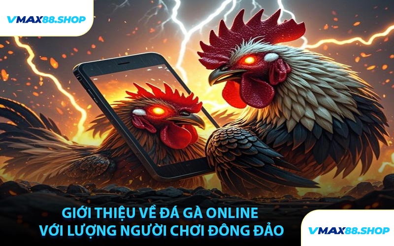 Giới Thiệu Về Đá Gà Online Với Lượng Người Chơi Đông Đảo